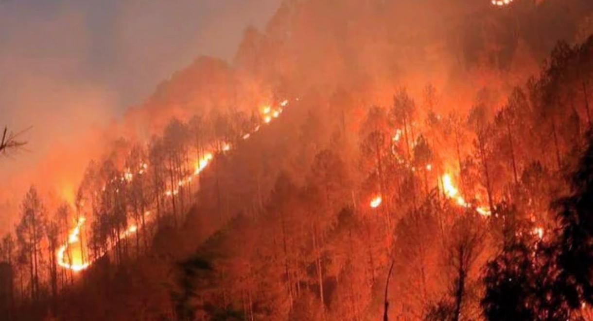 उत्तराखंड में विकराल हुई वनाग्नि, देहरादून ने चमोली को छोड़ा पीछे; अब आग बुझाने में सहयोग न करने पर होगी जेल